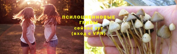 синтетический гашиш Балахна