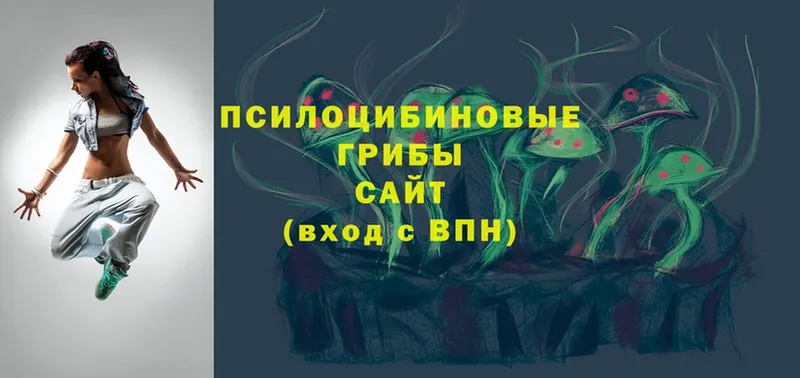 Псилоцибиновые грибы Psilocybe Гай