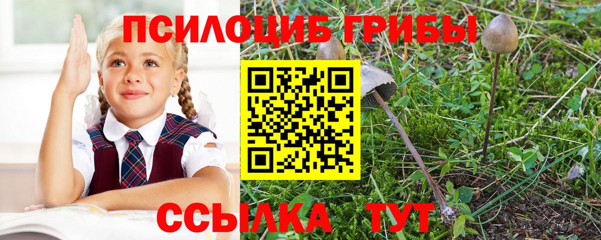 Псилоцибиновые грибы ЛСД Гай