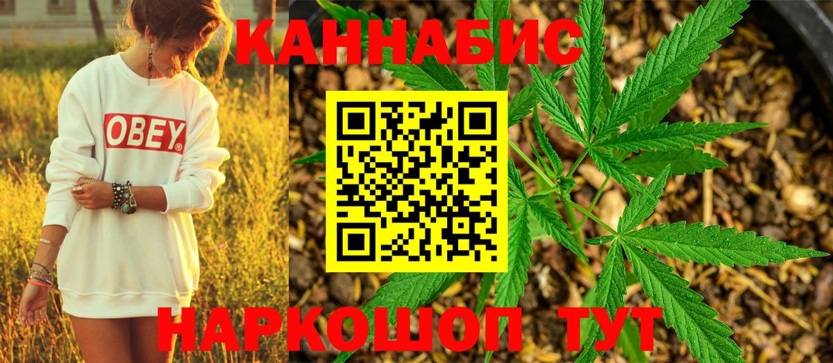 Бошки марихуана Ganja Гай